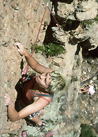 Sharon Hansen-Barnett